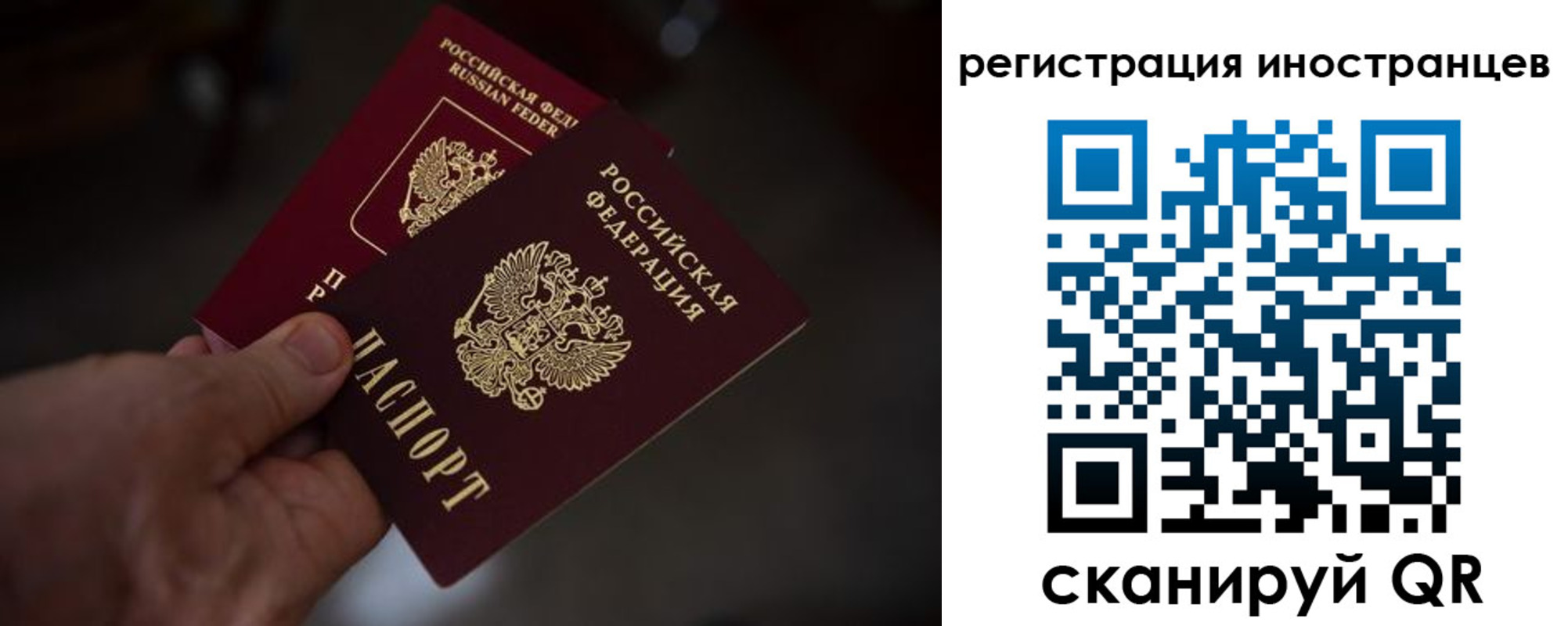 временная регистрация 2025 в Полярном